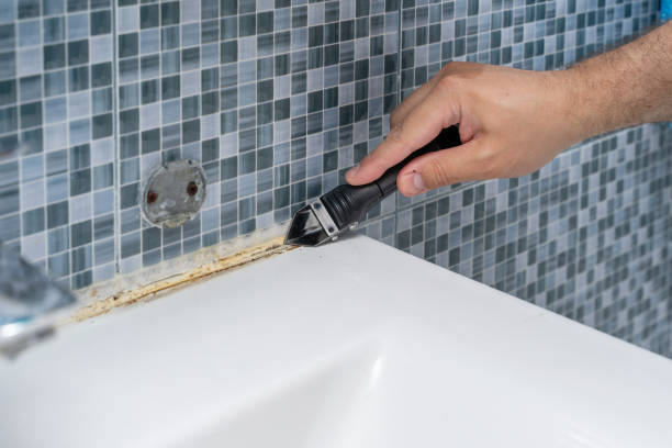Escobares, TX Mold Removal Company